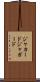 ジャカード Scroll