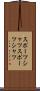 スポーツシャツ Scroll