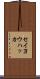 セイヨウハッカ Scroll