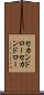 セカンドロー Scroll