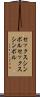 セックスシンボル Scroll