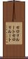 セロリルート Scroll