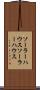 ソーラーハウス Scroll
