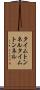 タイムトンネル Scroll