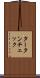 タータンチェック Scroll