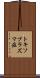 トキソプラズマ症 Scroll