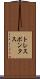 トレスポンタス Scroll