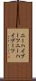 ニーハイブーツ Scroll