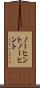 ノーヒント Scroll