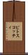 ピトスコッティ Scroll