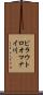 ピラウトロオマナイ川 Scroll