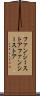 ファンシーストア Scroll