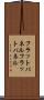 フラットパネル Scroll