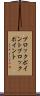 ブロックポイント Scroll