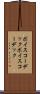 ボイスコーデック Scroll