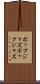 ポップジャズ Scroll