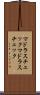 マドラスチェック Scroll