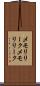 メモリリーク Scroll