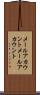 メールアカウント Scroll