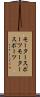 モータースポーツ Scroll