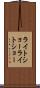 ライトショー Scroll