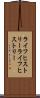 ライフヒストリー Scroll