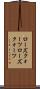 ローズクォーツ Scroll