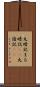 丸暗記 Scroll
