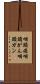 咽頭癌 Scroll