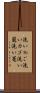洗いかご Scroll