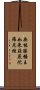 無能勝幡王如來莊嚴陀羅尼經 Scroll