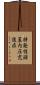 特発性頭蓋内圧亢進症 Scroll