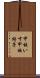 甲板いす Scroll