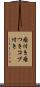 瘤付き Scroll
