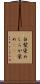 白髪染め Scroll
