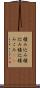 積み込み Scroll