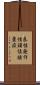 良性発作性頭位眩暈症 Scroll