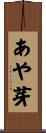 あや芽 Scroll