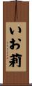 いお莉 Scroll