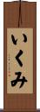 いくみ Scroll