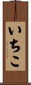 いちこ Scroll