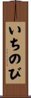 いちのび Scroll
