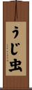 うじ虫 Scroll