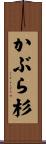 かぶら杉 Scroll
