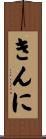 きんに Scroll