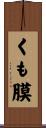 くも膜 Scroll