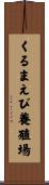くるまえび養殖場 Scroll