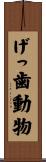 げっ歯動物 Scroll