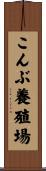 こんぶ養殖場 Scroll