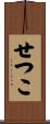 せつこ Scroll